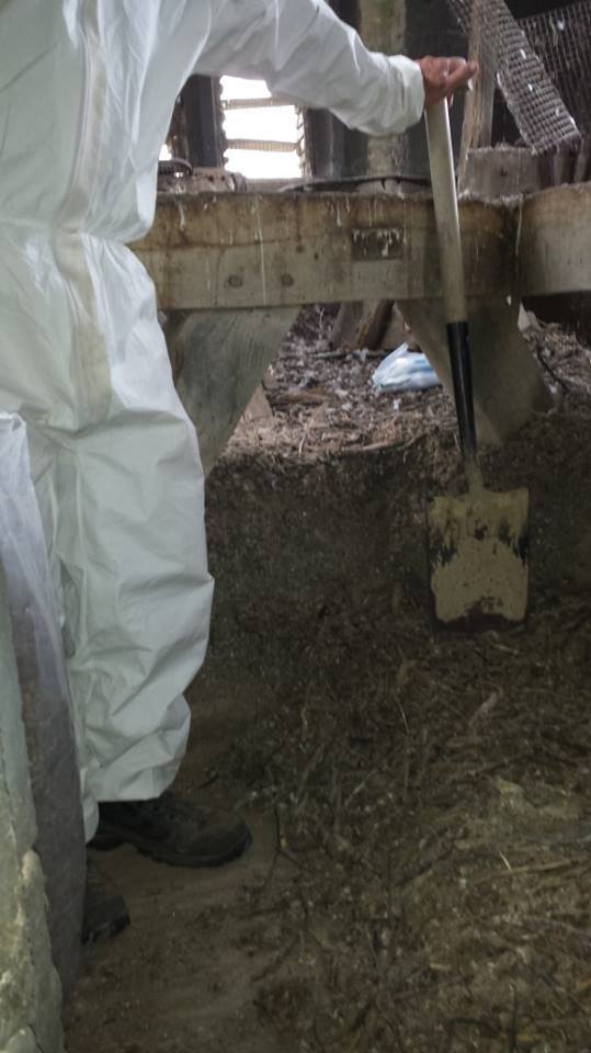 Showing the Depth of the Droppings