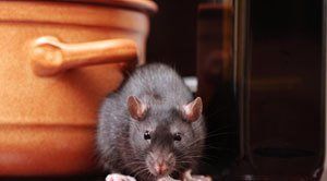 Mouse control