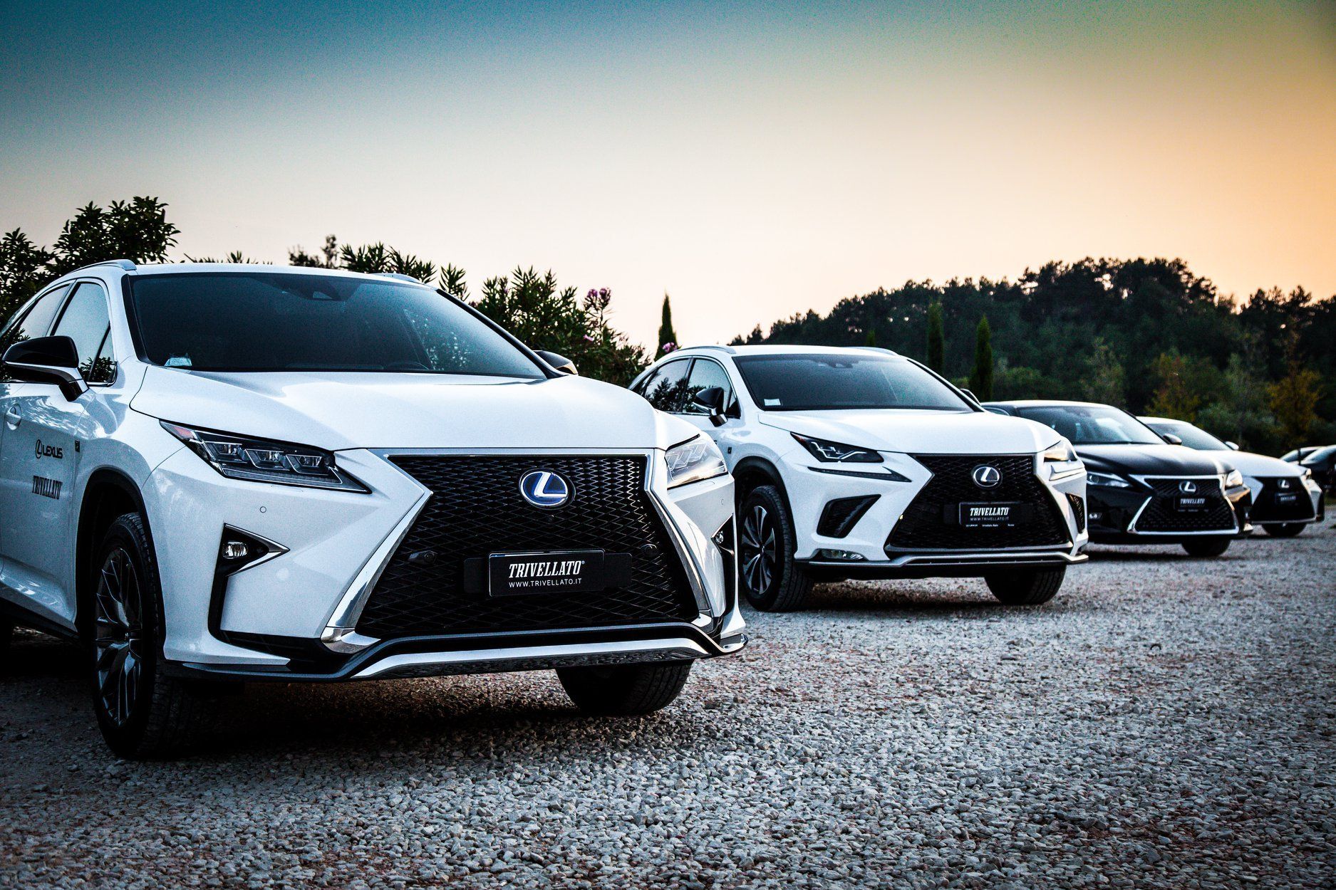 Evento Preview Lexus per Trivellato