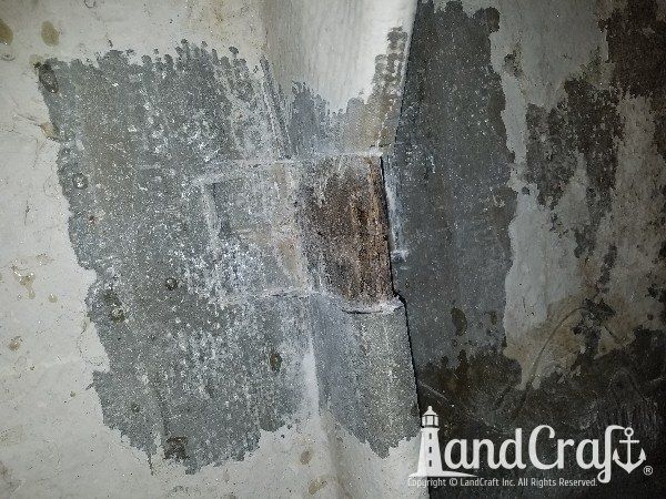 Seadog commercial passenger vessel with structural damage