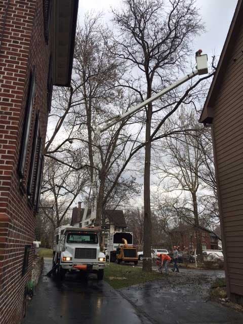 Tree Service Truck — Tree Service in Cedar Hill, MO