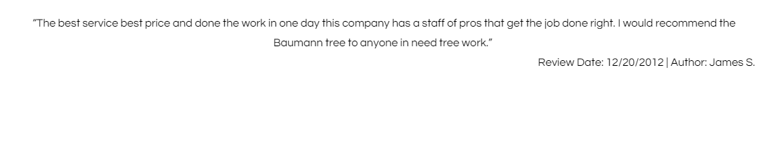 Blurry white webpage header with small black text and a date on the right