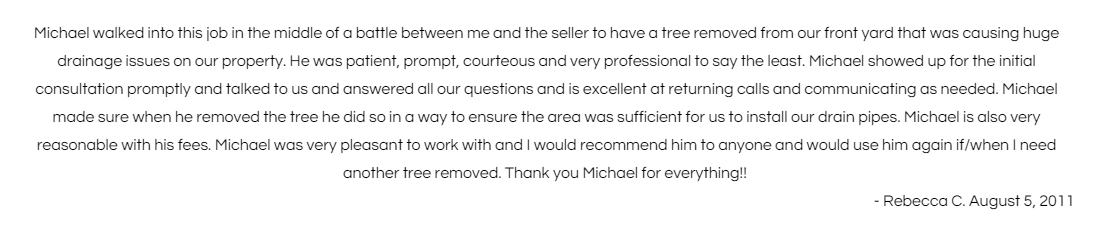 Blurry screenshot of a text document with multiple lines of small black text on a white background.