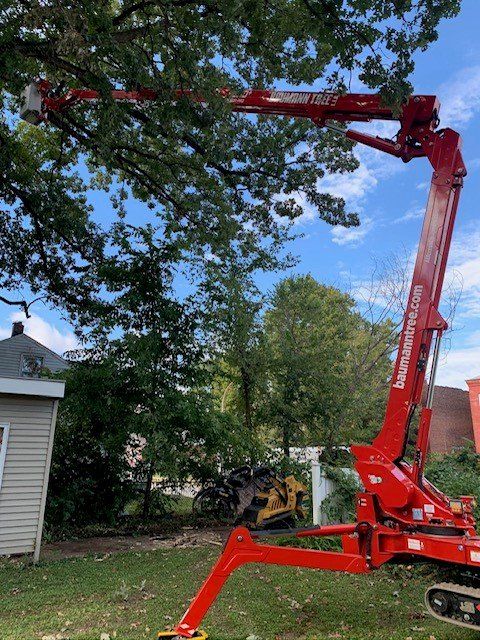 Red Vehicle For Tree Cutting — Fenton, MO — Baumann Tree