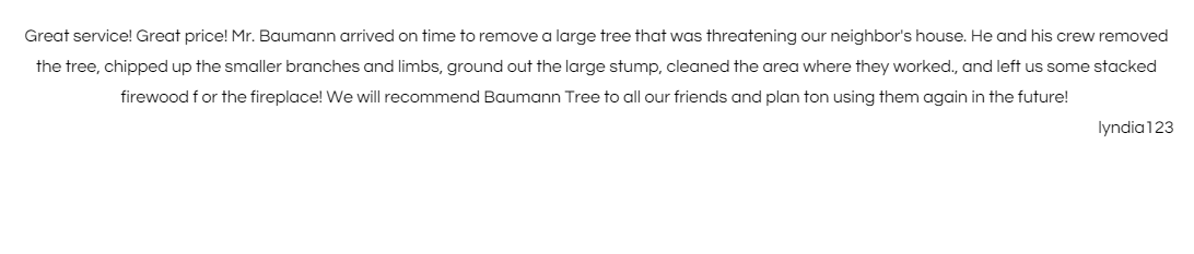 Blurry black text on a white document page with a small page number in the bottom right.