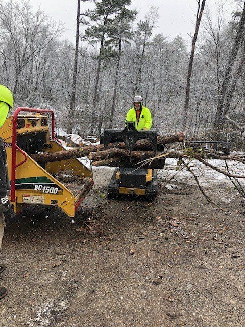 Tree Branches In Machine — Fenton, MO — Baumann Tree