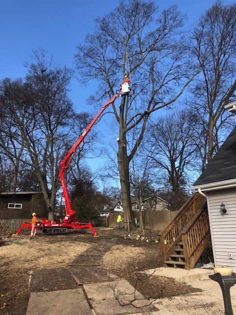 Tree Removal Fenton MO
