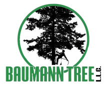 Baumann Tree Baumann Tree