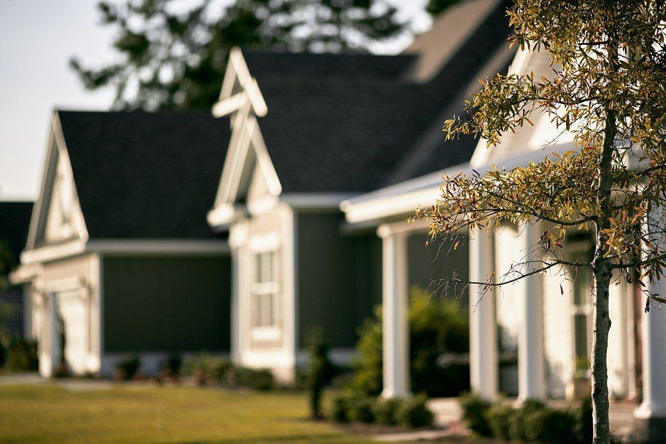 Tree Removal — Fenton, MO — Baumann Tree Tree Removal — Fenton, MO — Baumann Tree