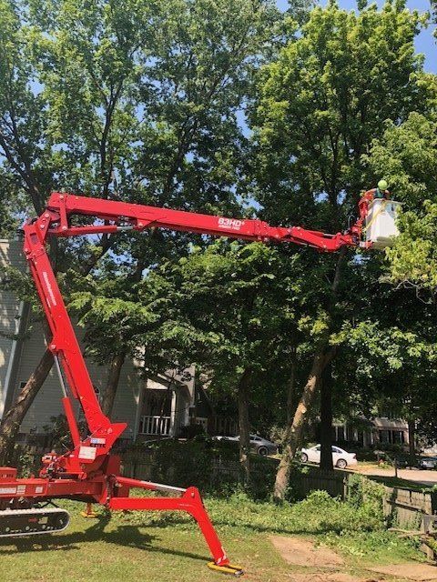 Red cherry picker trimming tree branches in a yard on a sunny day.