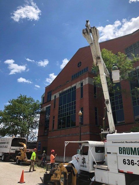 Tree trimming crew using a lift by a brick building on a sunny day.