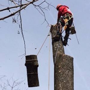 Emergency Storm Damage Service Fenton MO Emergency Storm Damage Service Fenton MO