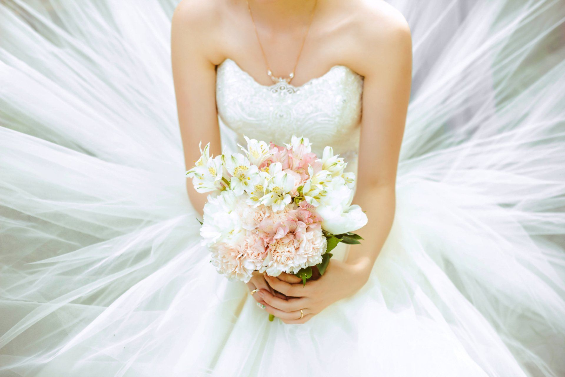 Flower Shop in Dallas, TX — Freesia Flowers in Dallas, Texas