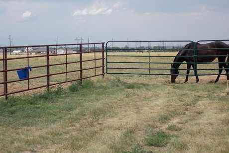 Ranch and Farm Fence — Kiowa, CO — Frontier Fence Ranch and Farm Fence — Kiowa, CO — Frontier Fence