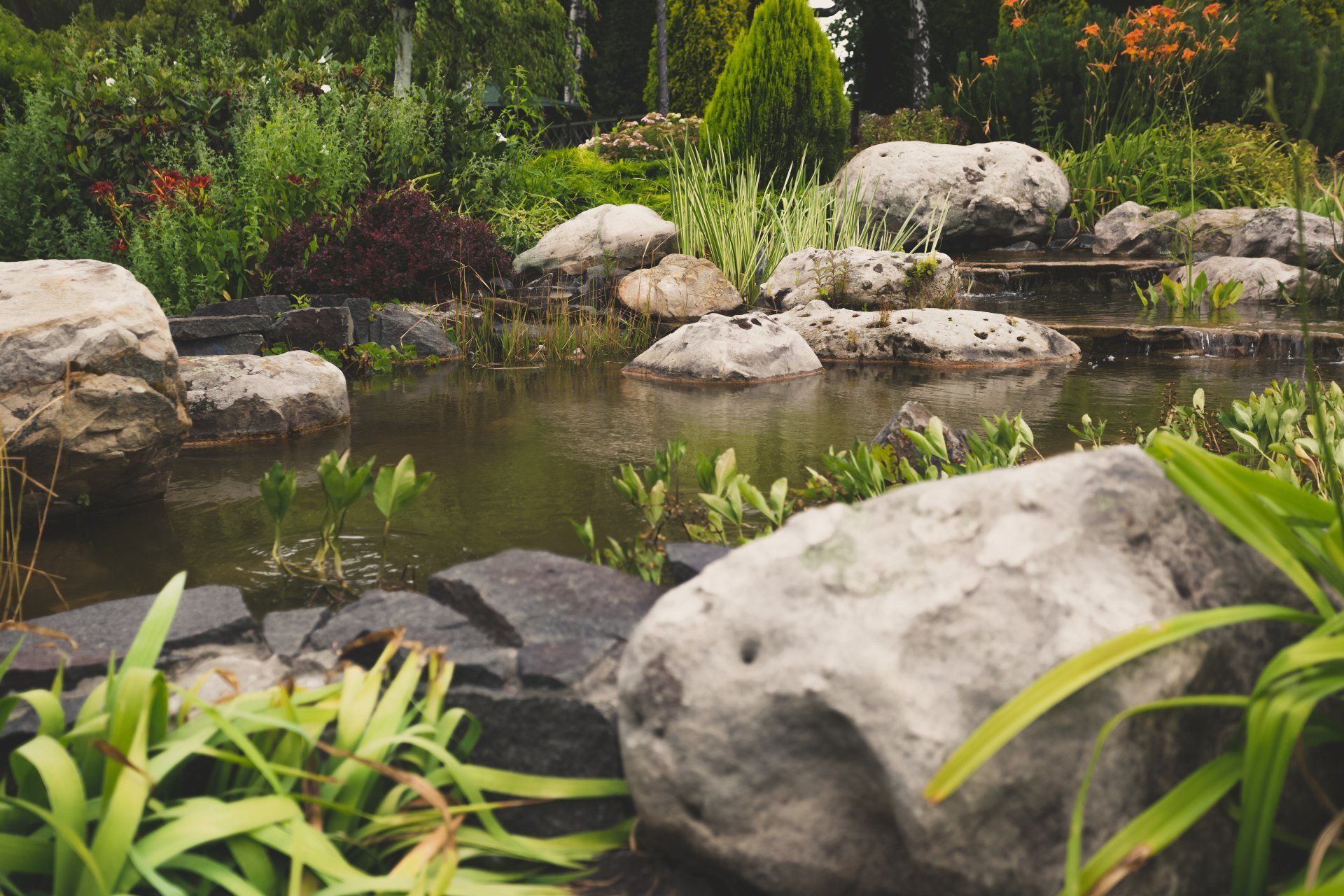 Water Garden — Asheville, NC — Green Outdoors Landscaping & Nursery