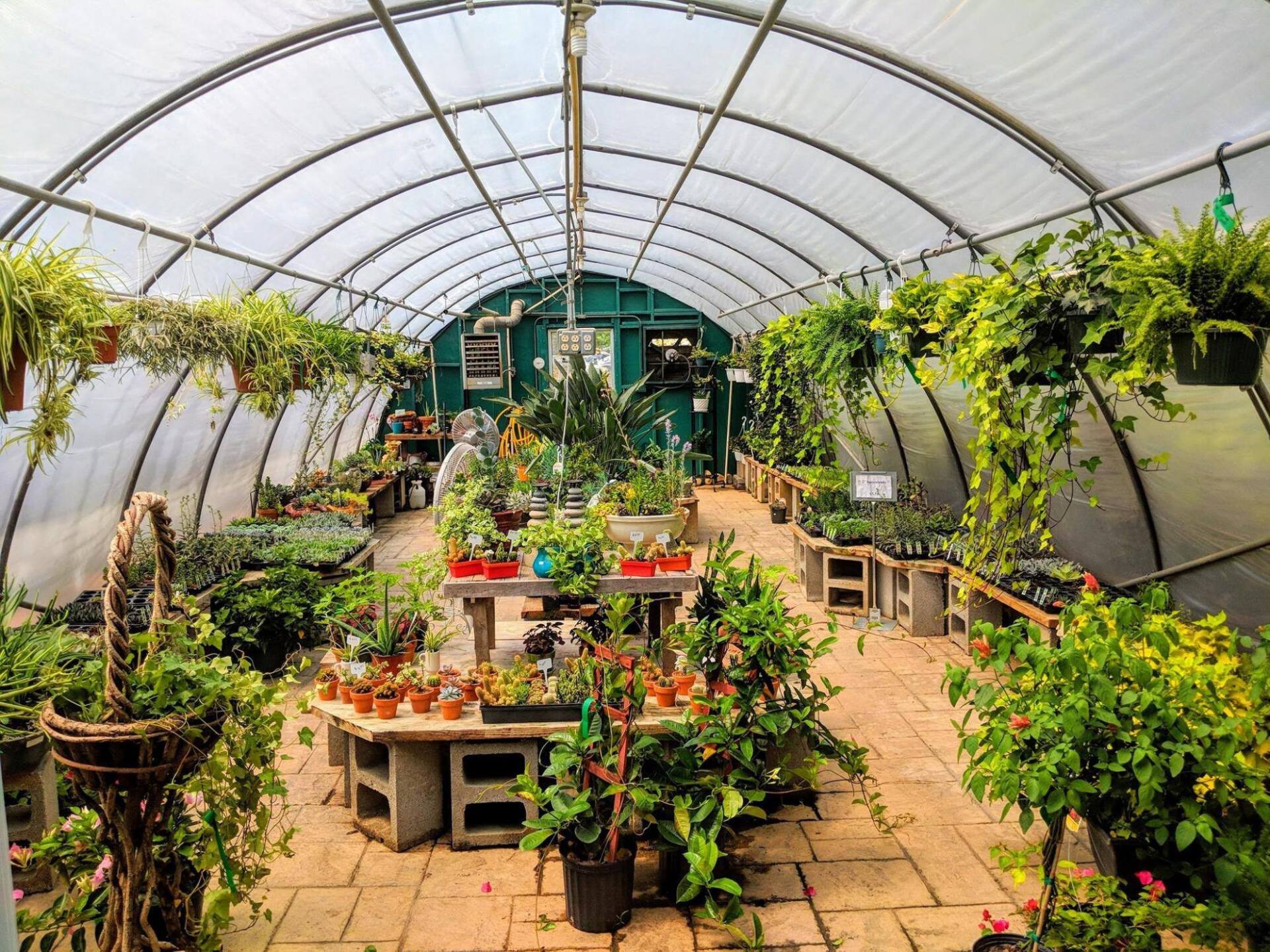 Garden with Assorted Plants — Asheville, NC — Green Outdoors Landscaping & Nursery