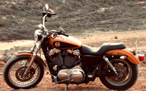 A harley davidson motorcycle is parked on a dirt road in the desert.