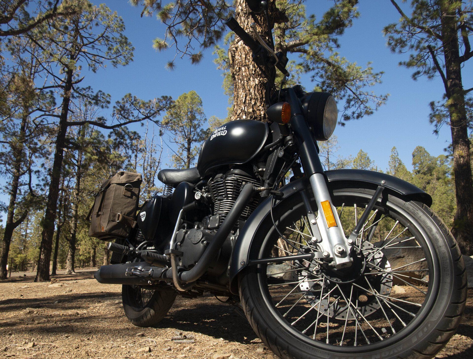 A black motorcycle is parked in the middle of a forest