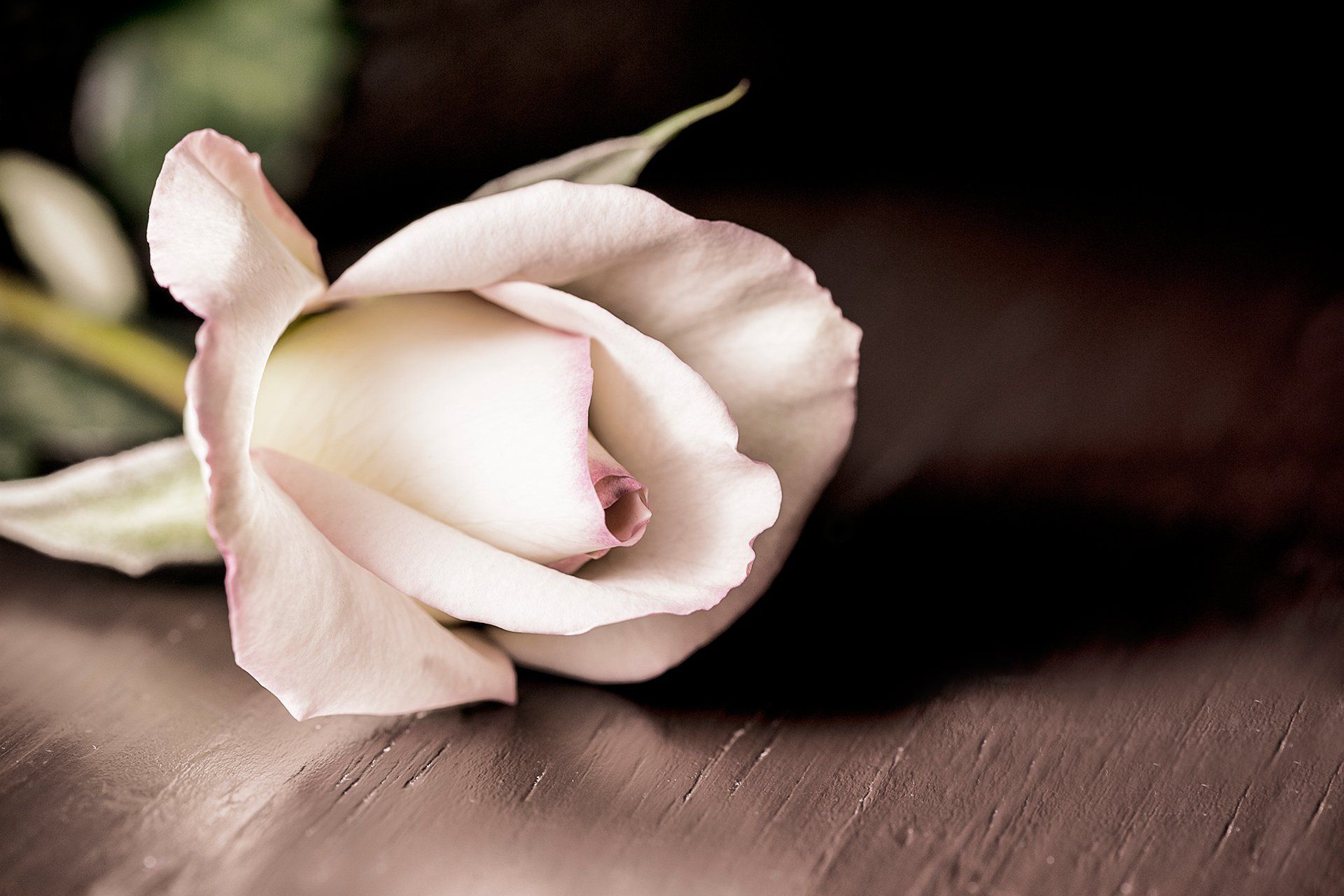 Funeral flowers
