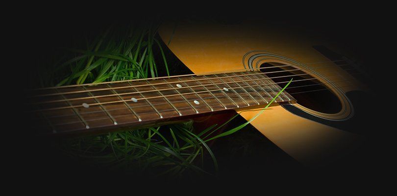 A guitar lying on long grass