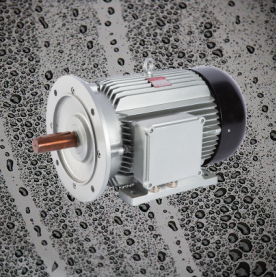 Electric Motors