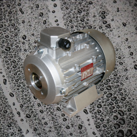 Hollow Shaft Motors