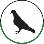 Bird icon