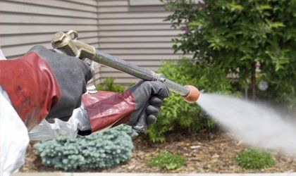 Making your property or caravan pest-free