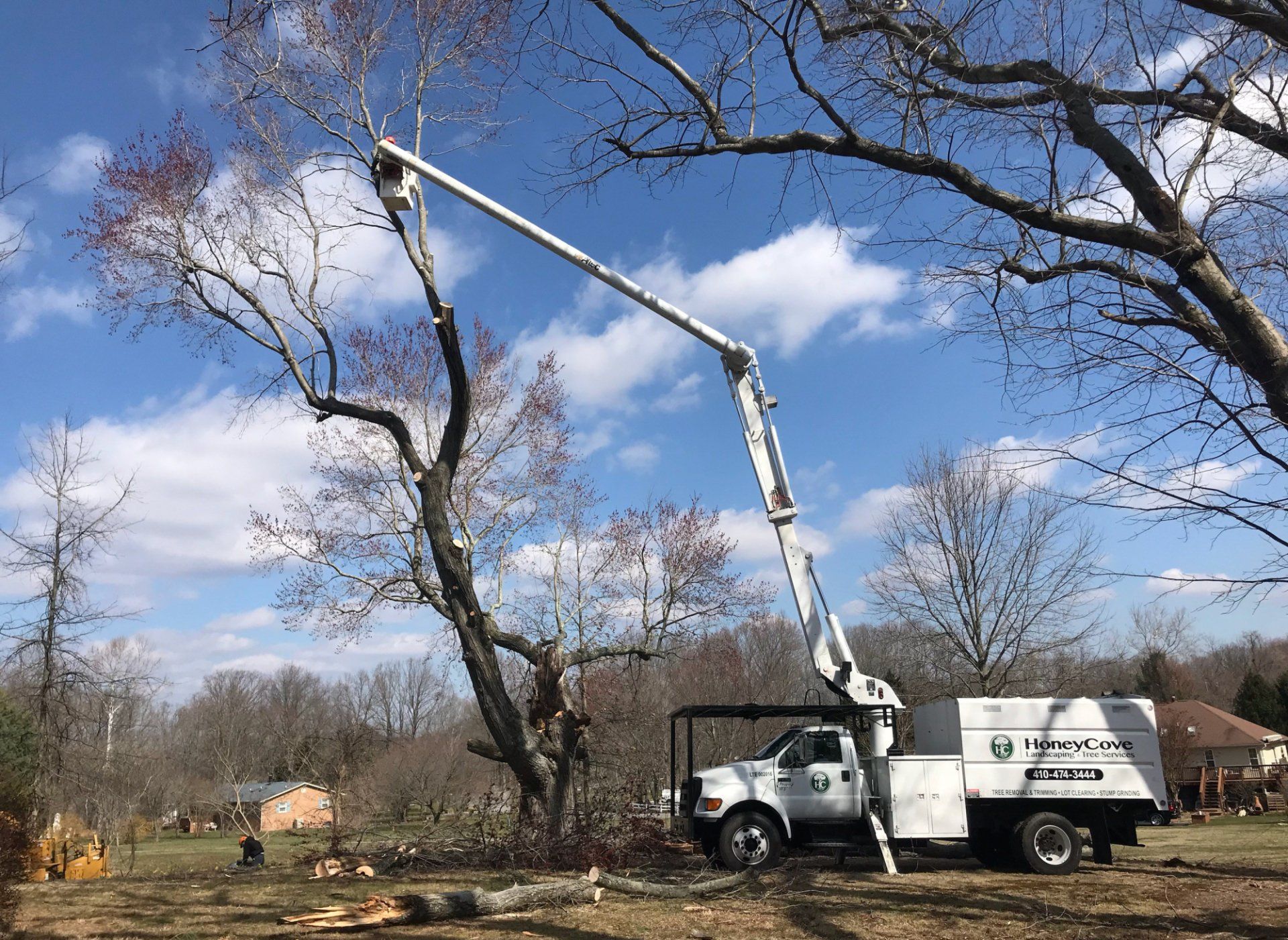 Tree Removal with Picker