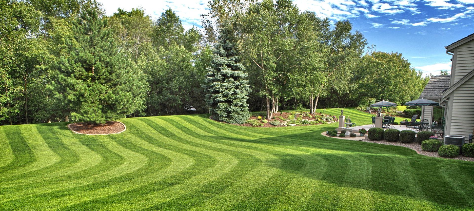 seeded and cut residential lawn