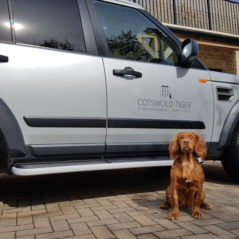 red spaniel sitting next to silver car, orange key on white background, Cotswold Tiger, The Second Home Company