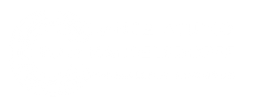 Dance Studio Peter Mangelsdorff Die moderne Tanzschule im Norden Berlins