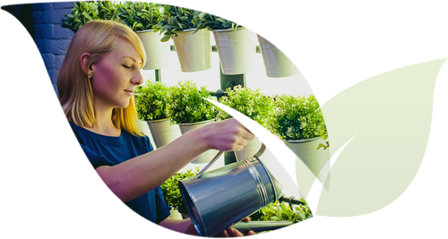 Garden maintenance service