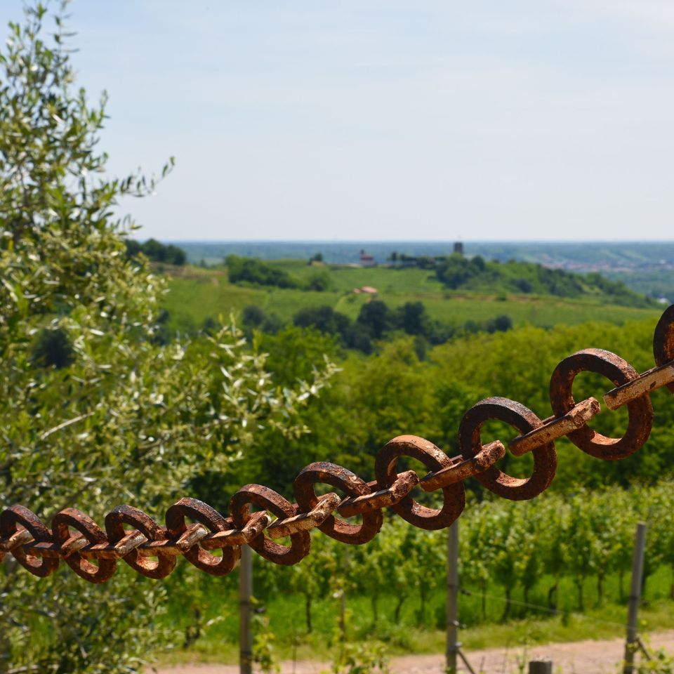 Terroir