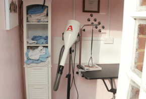 Dog Grooming Services