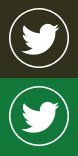 twitter_icon