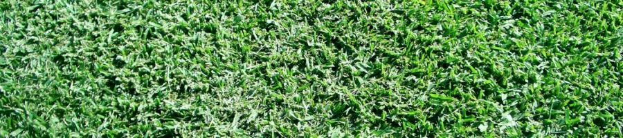 Active Turf Supplies for the best price in Brisbane, Gold Coast and surrounds