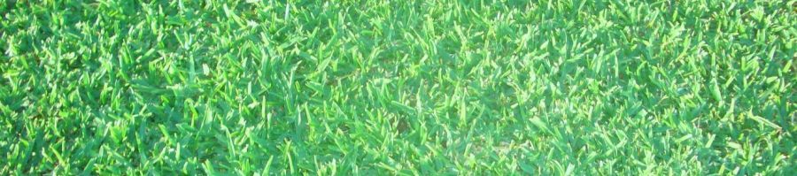 Active Turf Supplies for the best price in Brisbane, Gold Coast and surrounds
