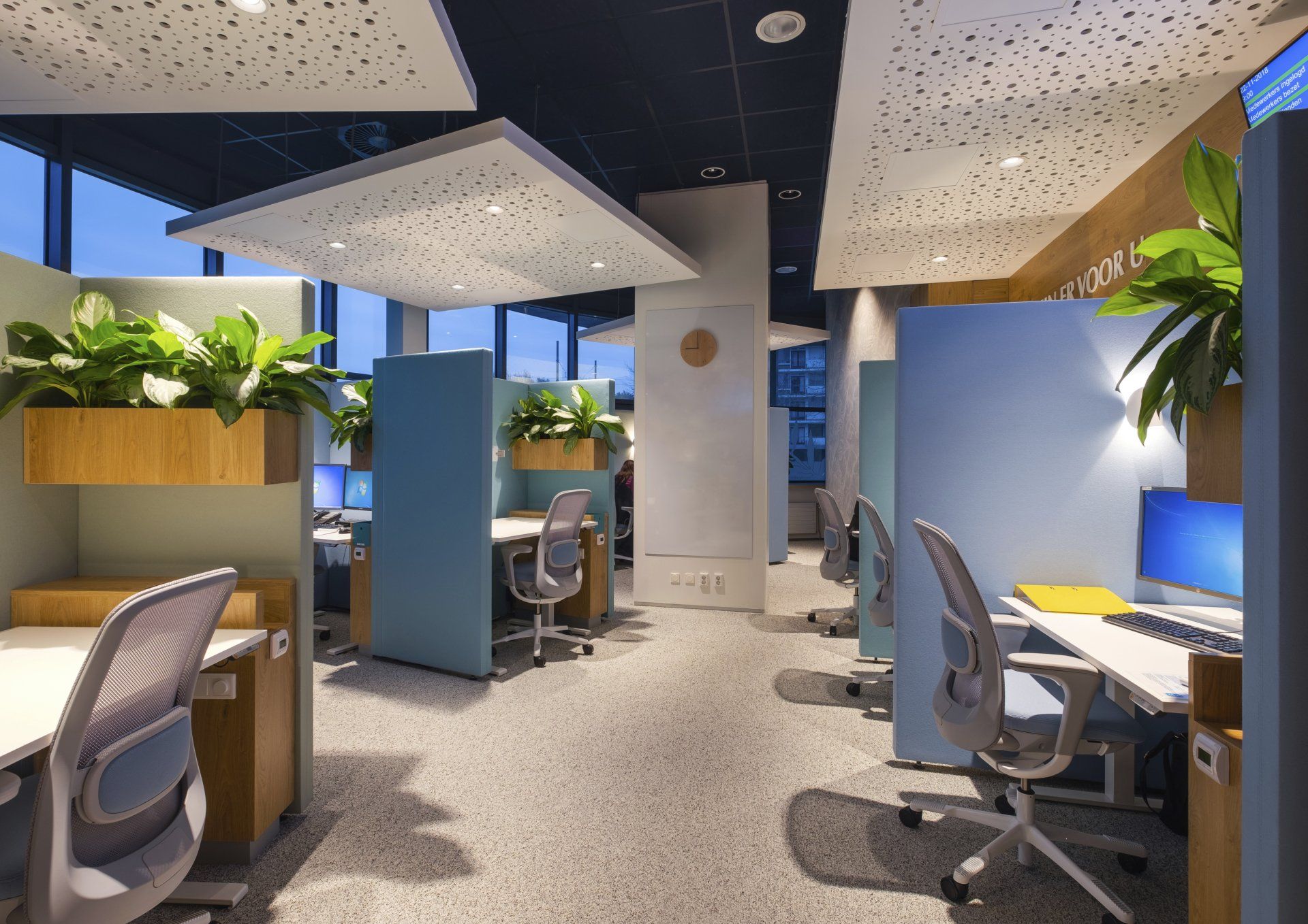 Een modern kantoorruimte met blauwe scheidingswanden, witte bureaus, grijze ergonomische stoelen en potplanten in het klant contact centrum van het Gemeentehuis van Rijswijk, interieurontwerp door KuóStudio