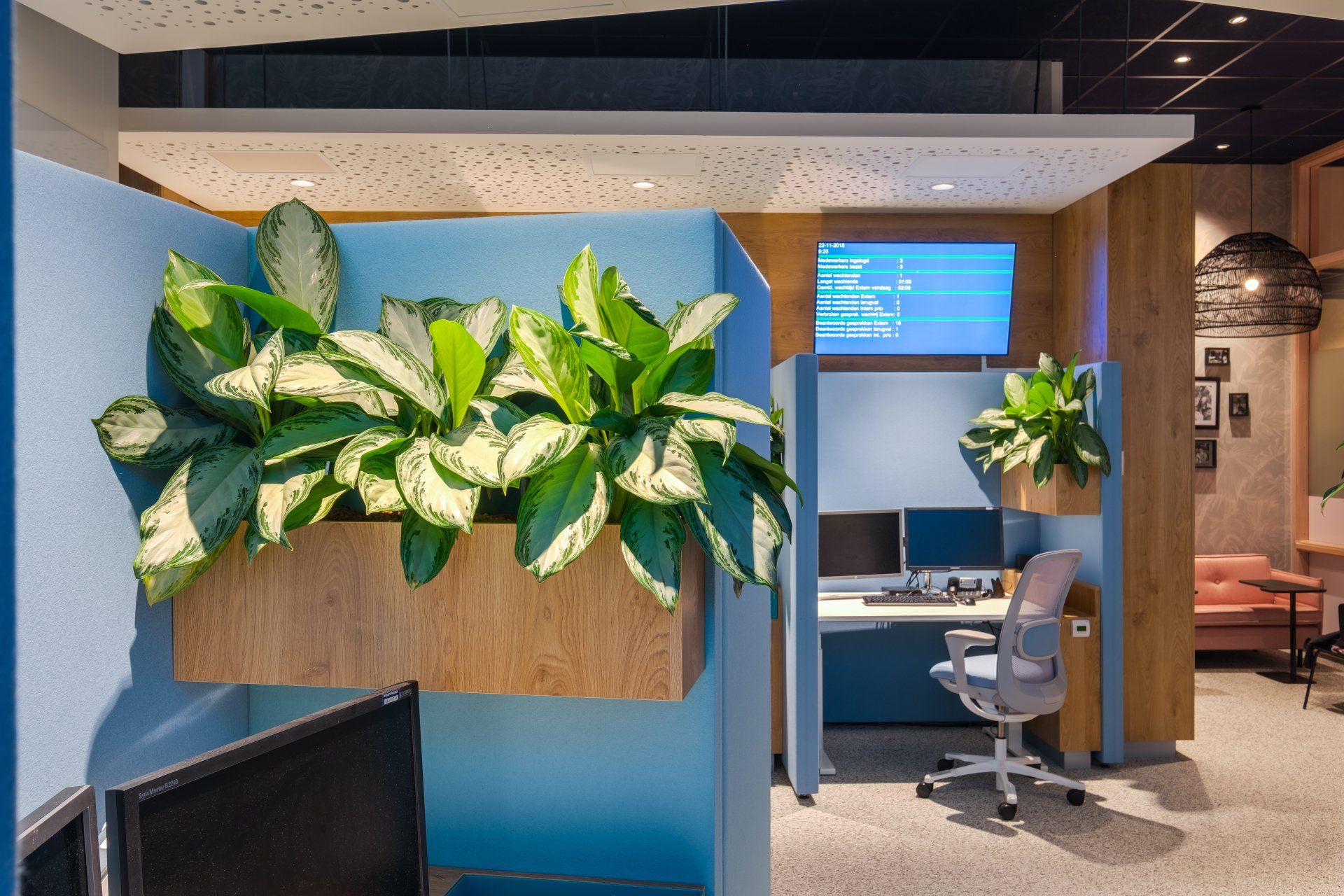 Moderne kantoorcabines met blauwe scheidingswanden, houten plantenbakken gevuld met diverse planten en ergonomische stoelen van het klant contact centrum van het Gemeentehuis van Rijswijk, interieurontwerp door KuóStudio