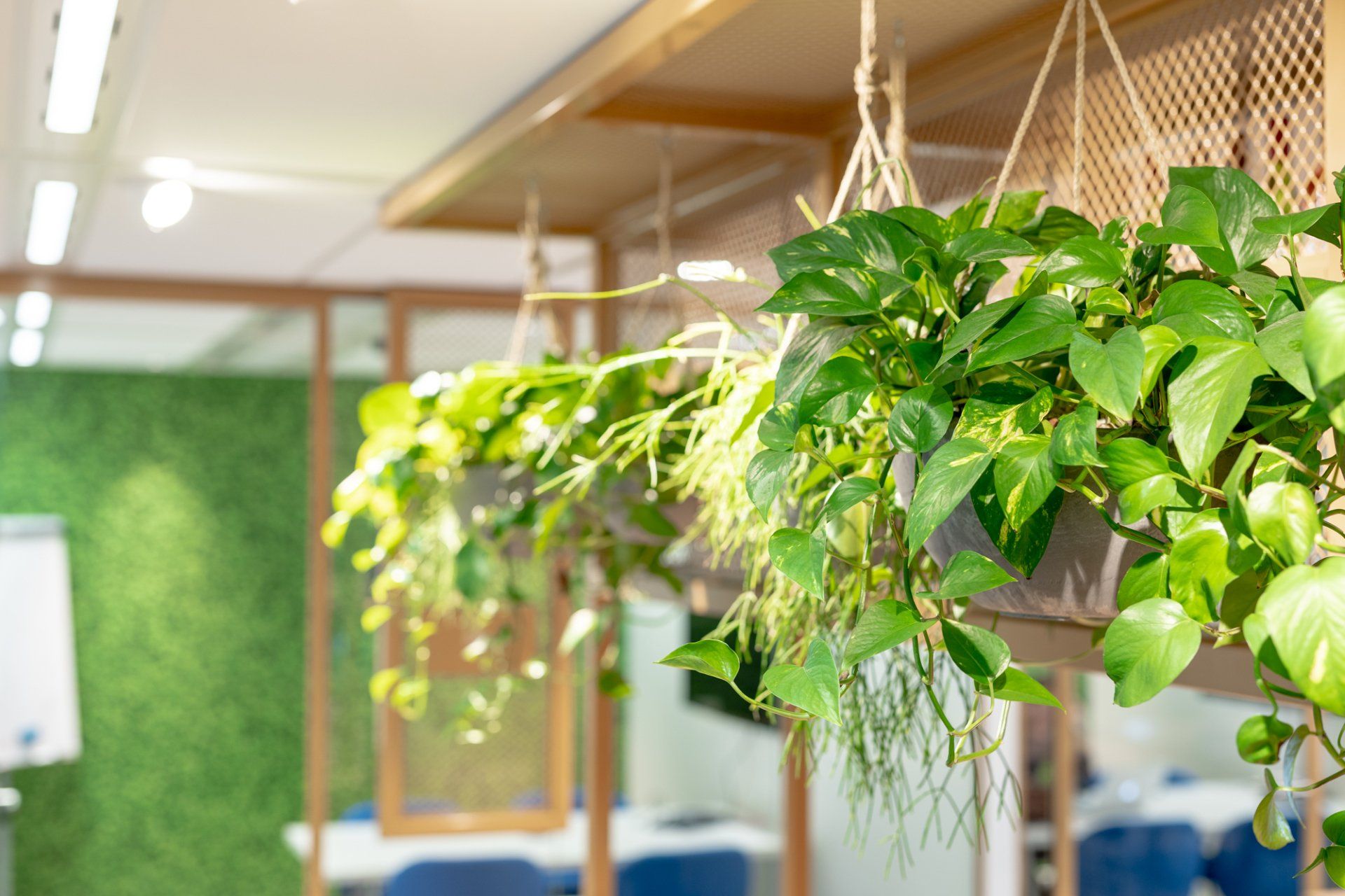 interieurdesign met veel groen