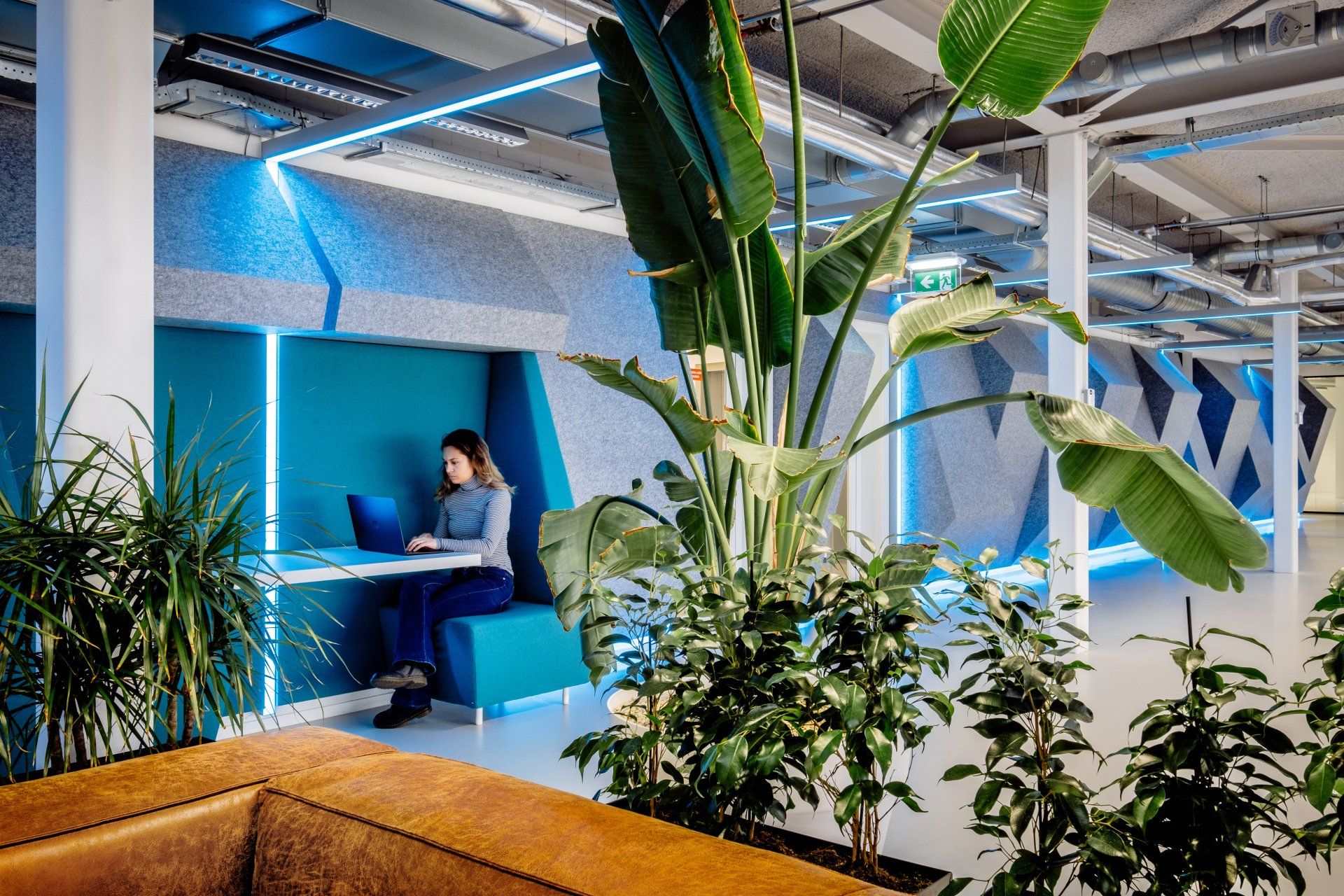 Innovatieve Akoestiek oplossing interieur ontwerp Kantoor Shypple Rotterdam
