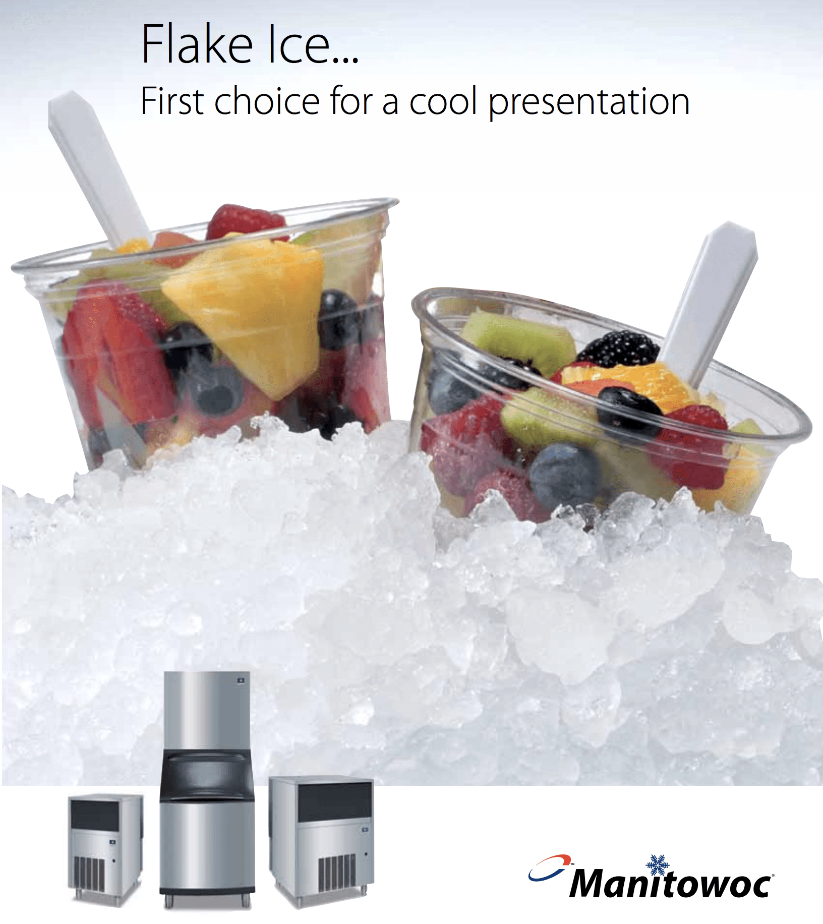 Manitowoc Flake Ice Machines