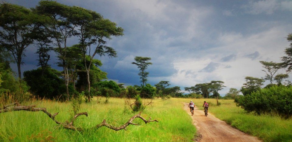 De mountainbike-safarireis voert deels door het Queen Elizabeth National Park.
