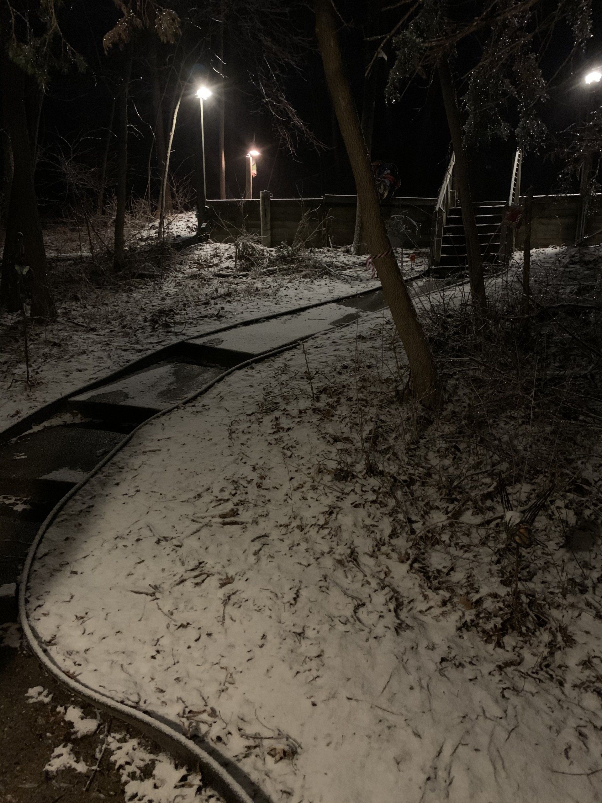 Snowy path at night, trees and streetlights illuminated.