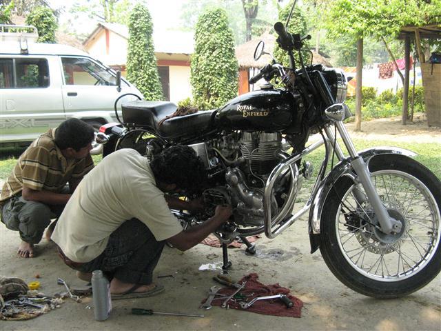 Chitwan Enfield