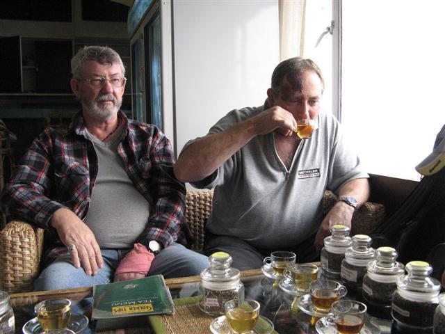 Darjeeling Tea Tasting