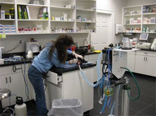 Vet working on animal with vet equipment
