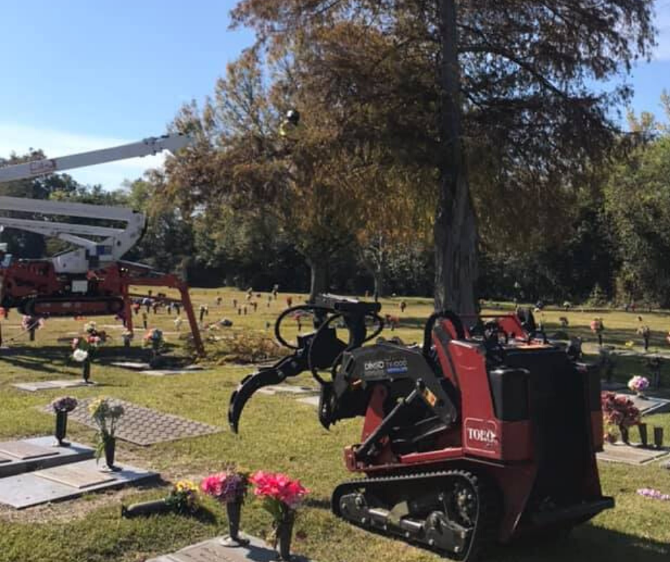 A red tractor is parked in a cemetery next to a tree