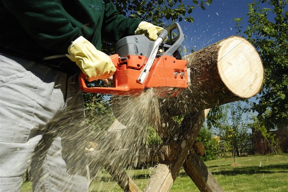 A person is cutting a log with an orange chainsaw